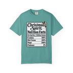 Christmas Spirit Nutrition Facts T-Shirt – Seafoam