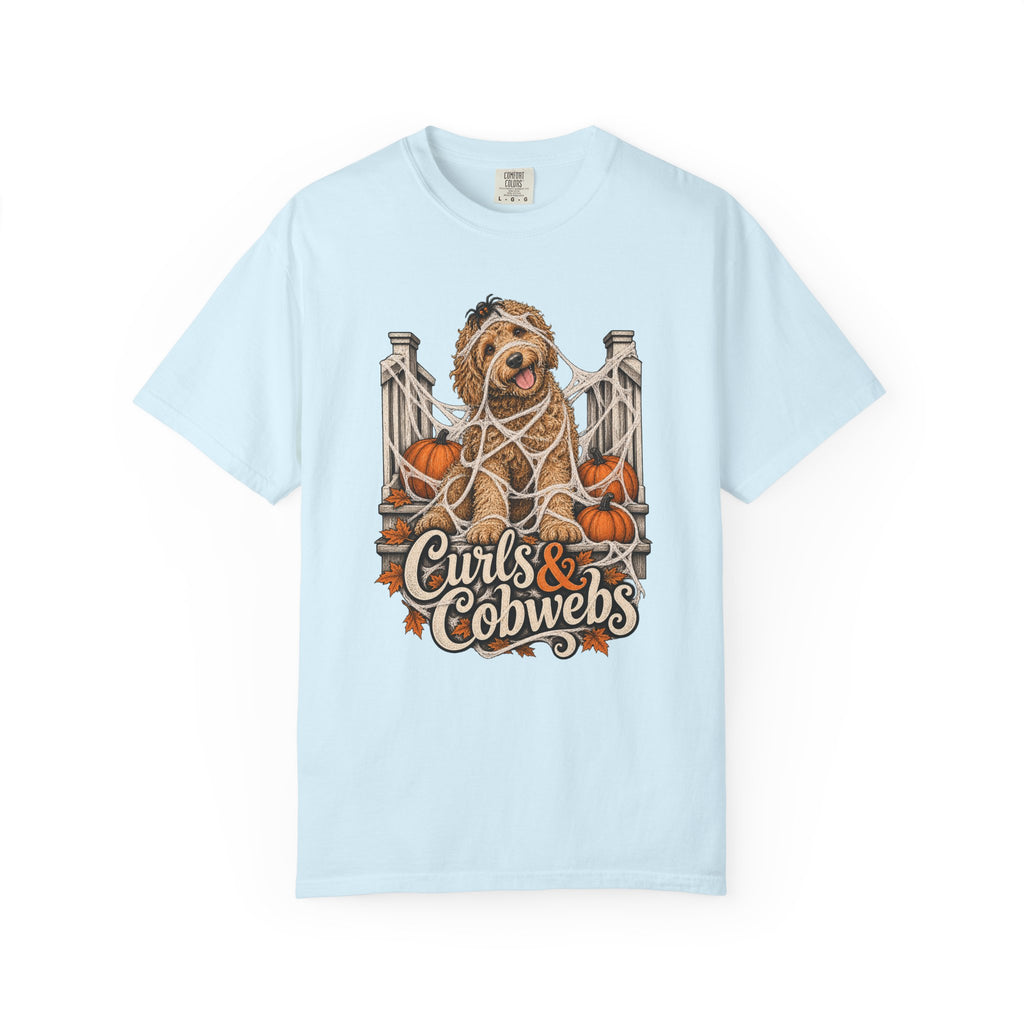 Curls & Cobwebs T-Shirt – Chambray