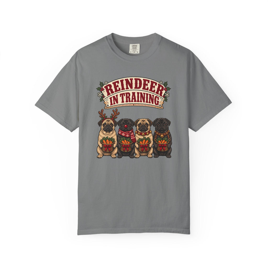 Reindeer in Training T-Shirt – Grey