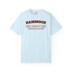 Hammock Varsity T-Shirt – Chambray