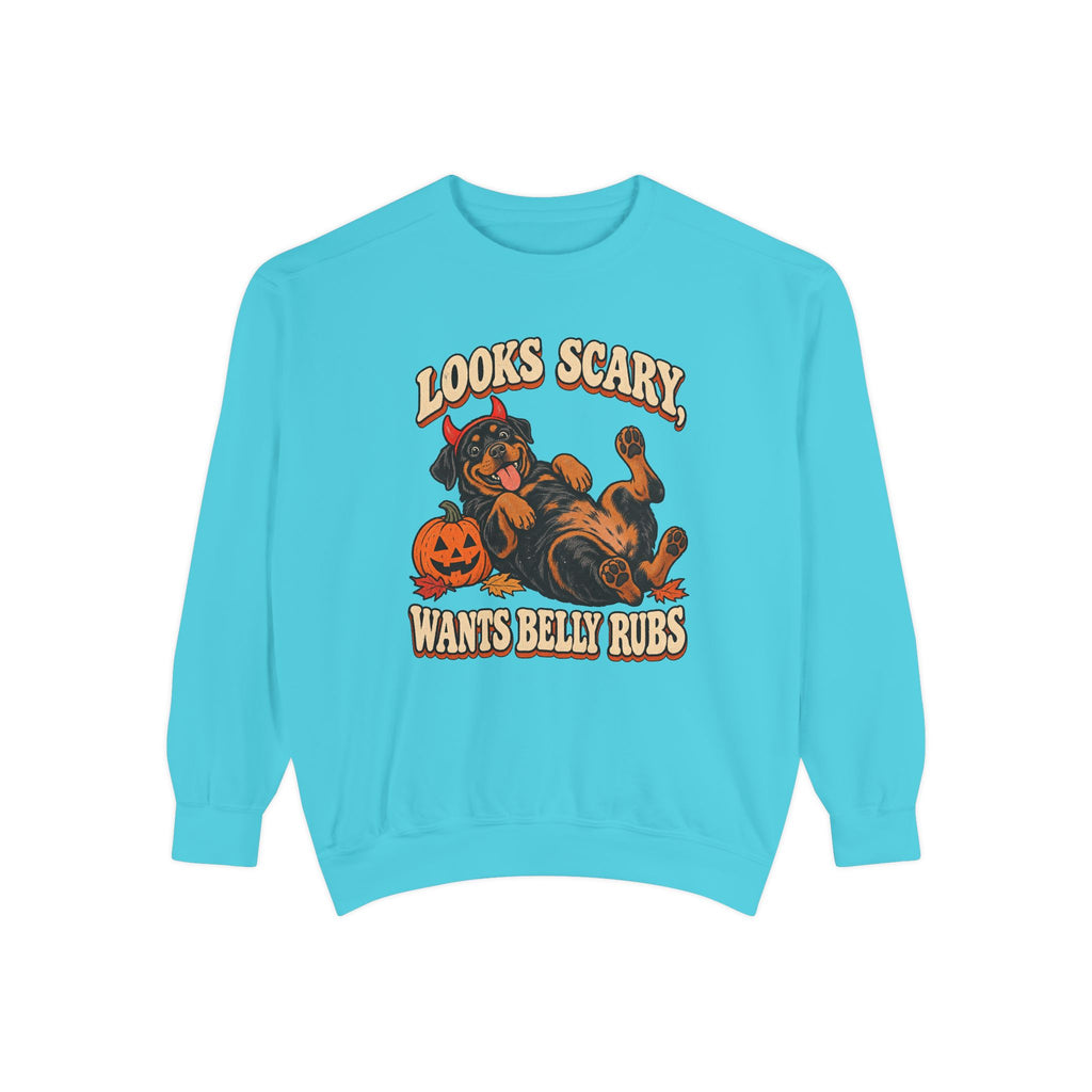 Looks Scary, Wants Belly Rubs Sweatshirt – front view