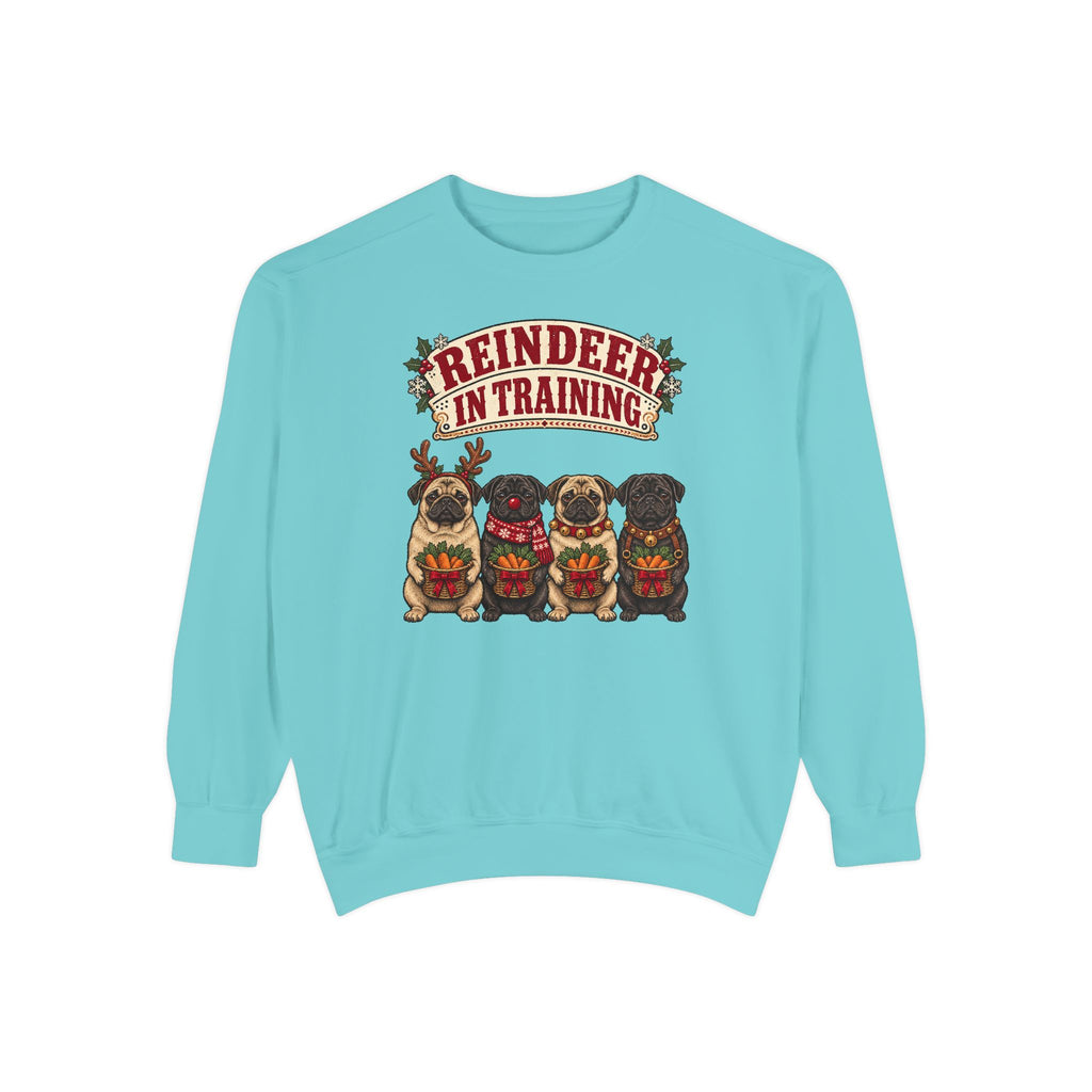 Reindeer in Training Sweatshirt – Chalky Mint