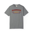 Hammock Varsity T-Shirt – Grey