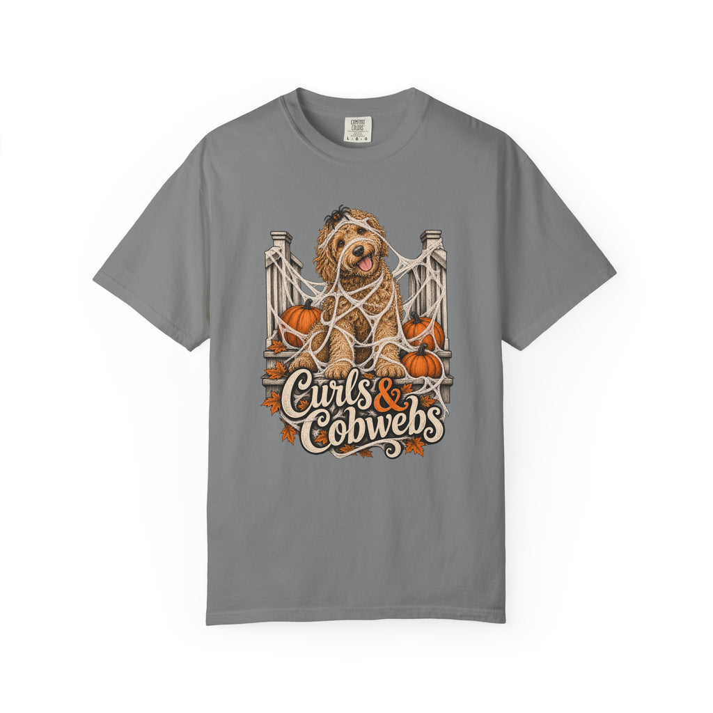 Curls & Cobwebs T-Shirt – Grey