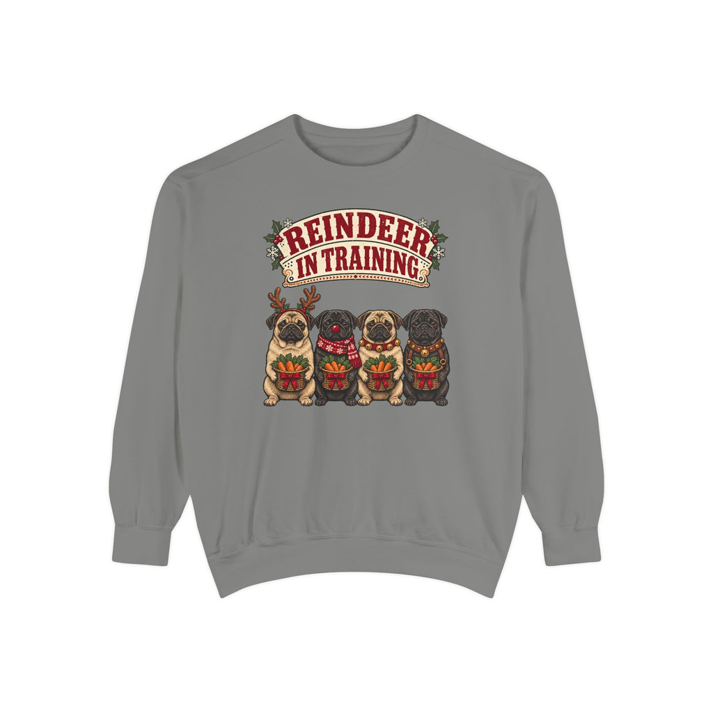 Reindeer in Training Sweatshirt – Grey