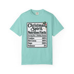 Christmas Spirit Nutrition Facts T-Shirt – Chalky Mint