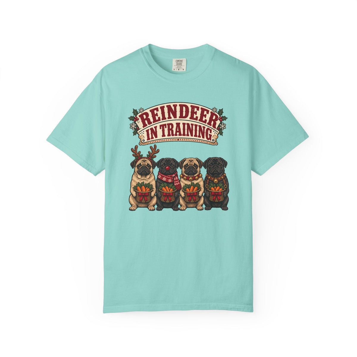 Reindeer in Training T-Shirt – Chalky Mint