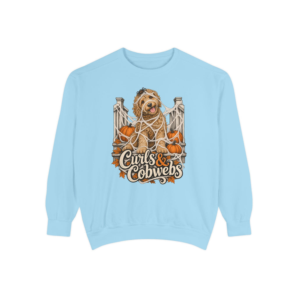 Curls & Cobwebs Sweatshirt – Chambray