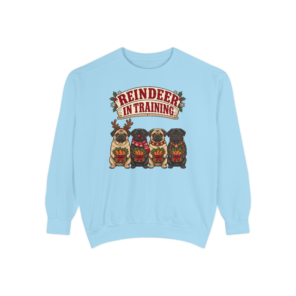 Reindeer in Training Sweatshirt – Chambray