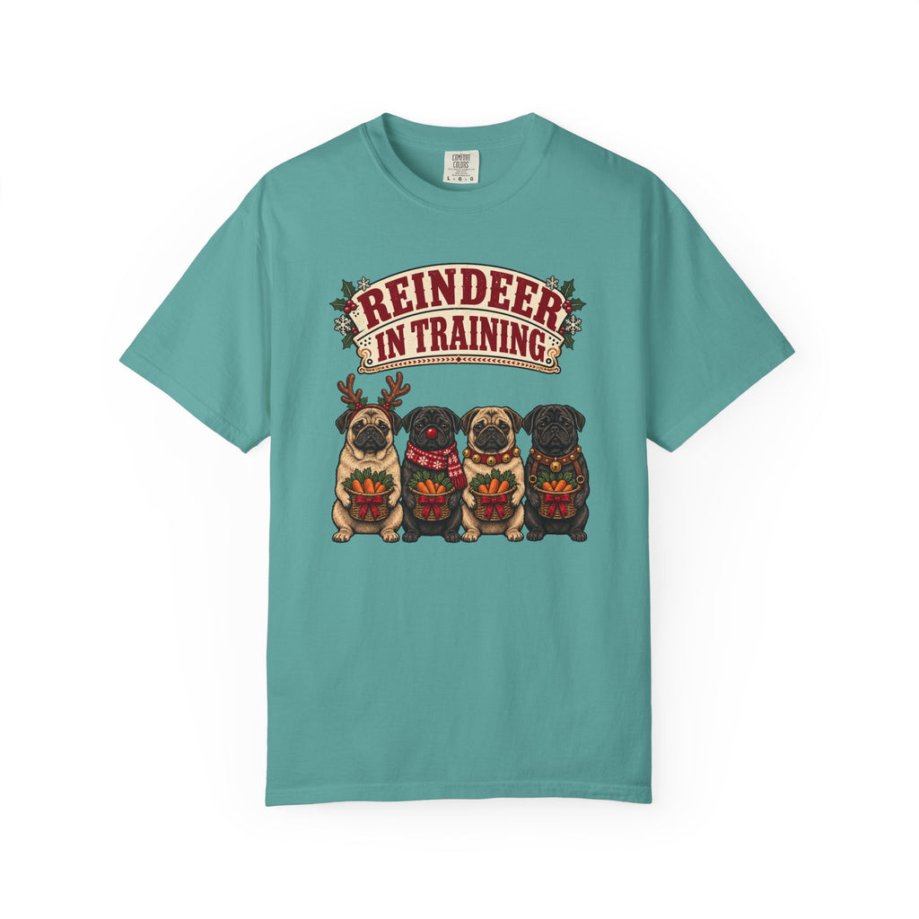 Reindeer in Training T-Shirt – Seafoam