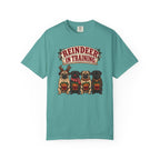 Reindeer in Training T-Shirt – Seafoam
