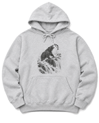 Bear at the Falls Hoodie - Ash