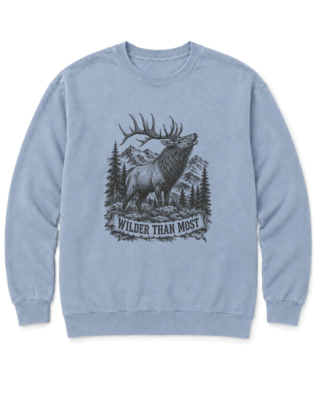 Wilder Than Most Sweatshirt - Chambray