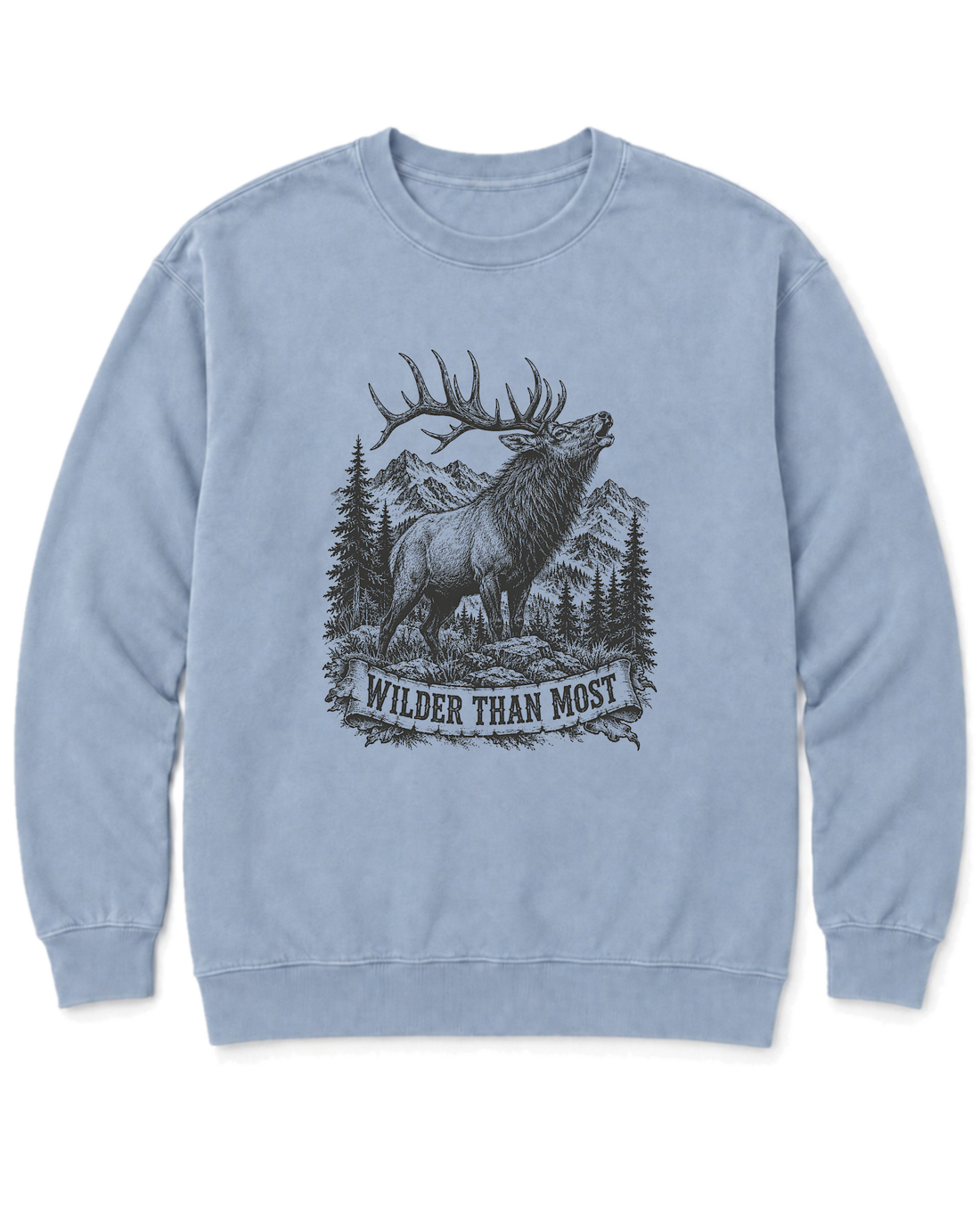 Wilder Than Most Sweatshirt - Chambray