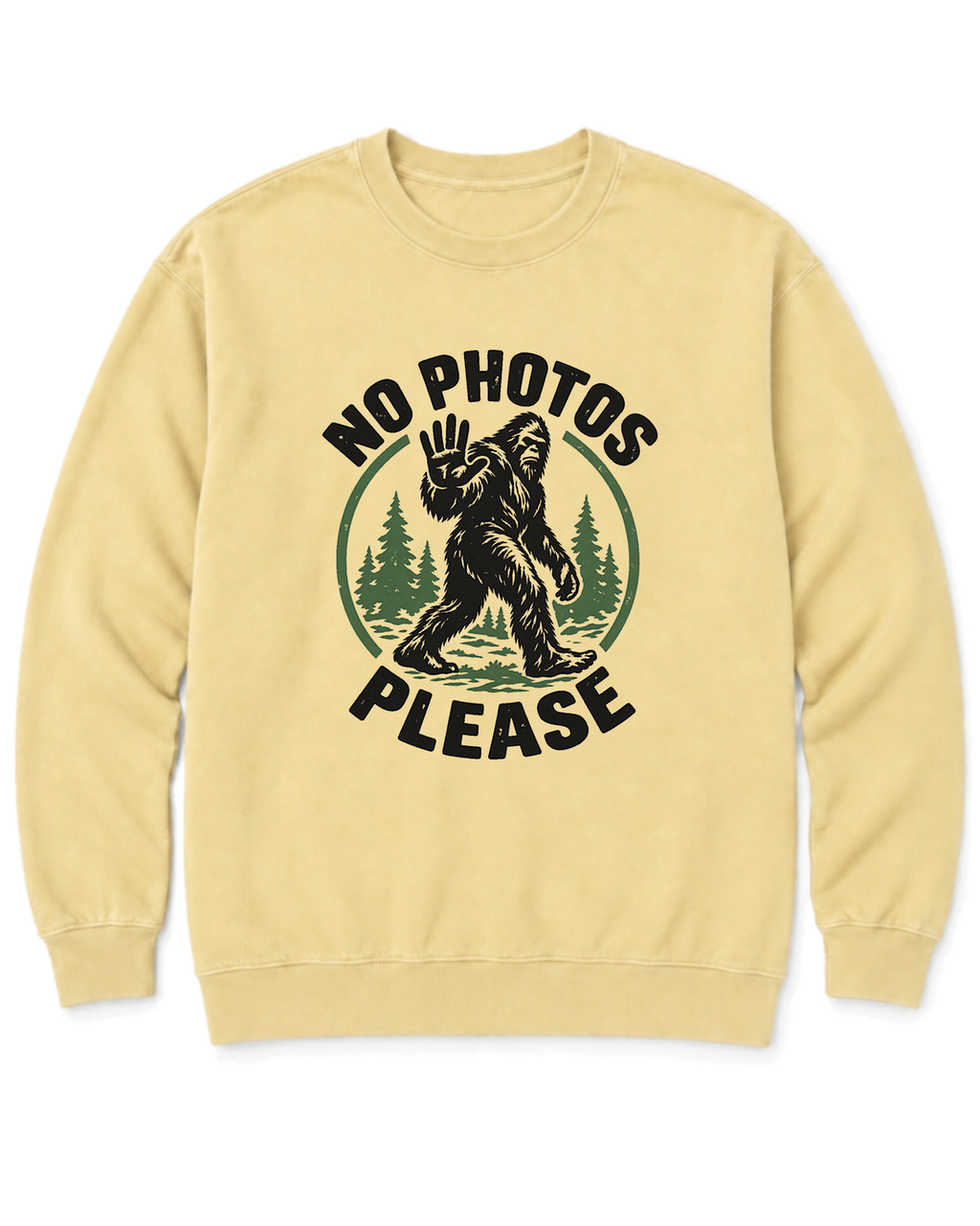 No Photos Please Sweatshirt - Butter