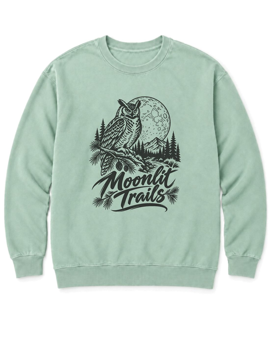 Moonlit Trails Sweatshirt - Chalky Mint