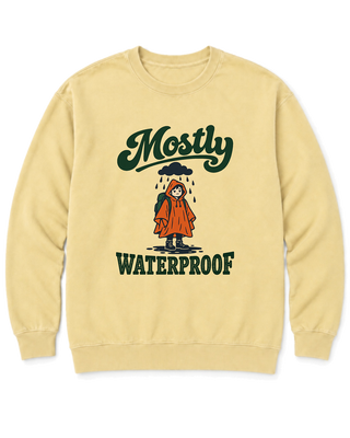 Mostly Waterproof Sweatshirt