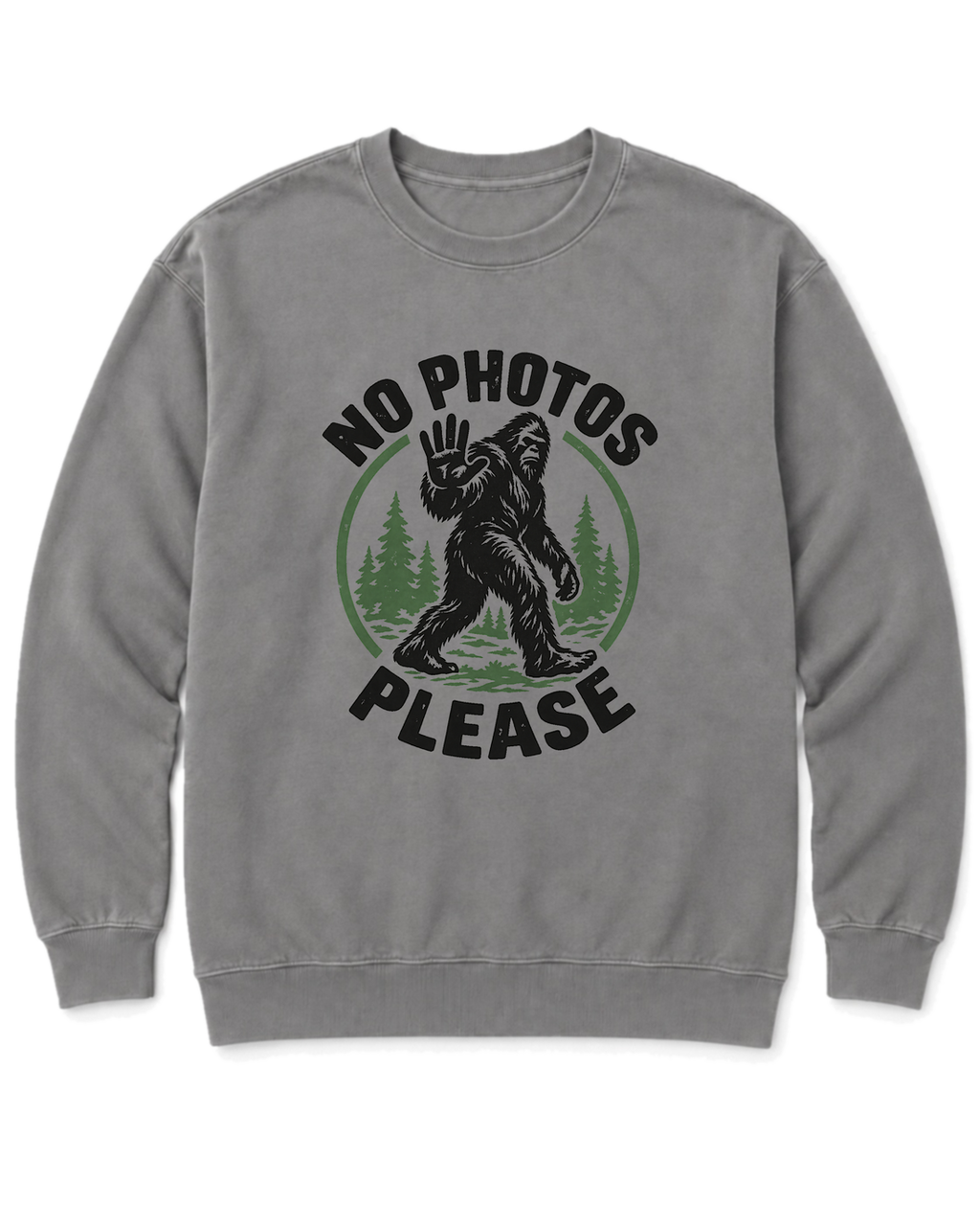 No Photos Please Sweatshirt - Grey