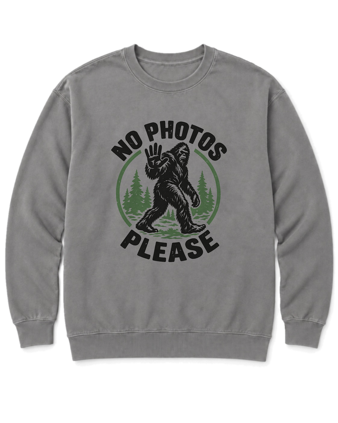 No Photos Please Sweatshirt - Grey