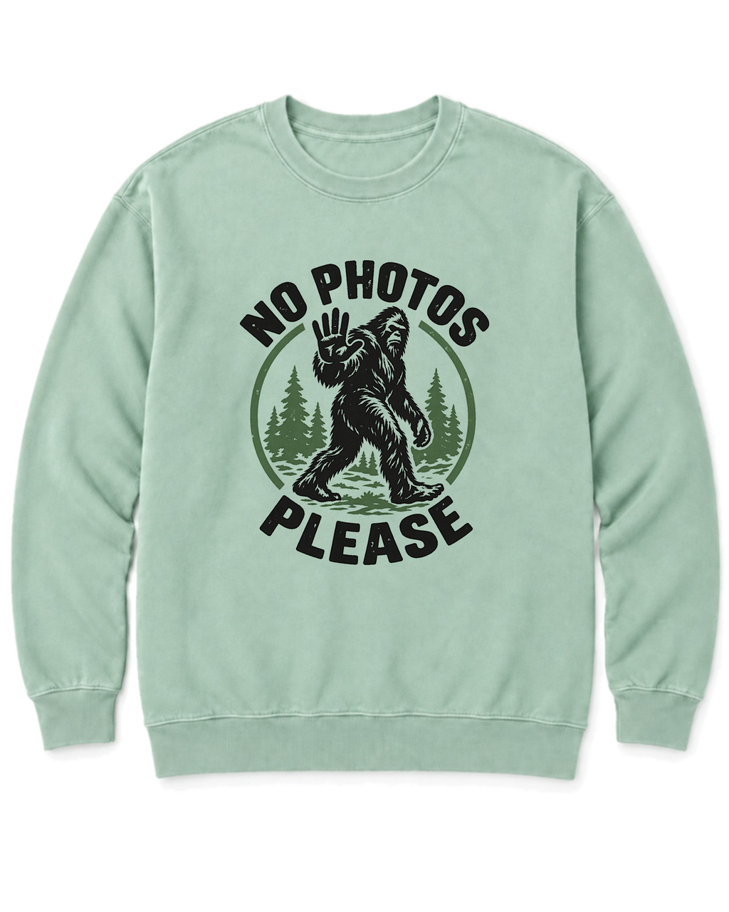 No Photos Please Sweatshirt - Chalky Mint