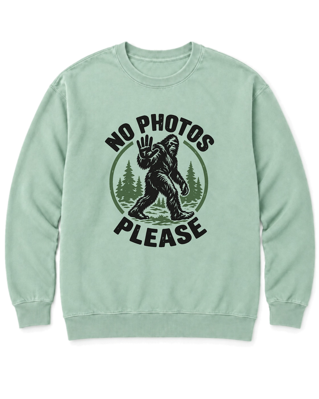 No Photos Please Sweatshirt - Chalky Mint