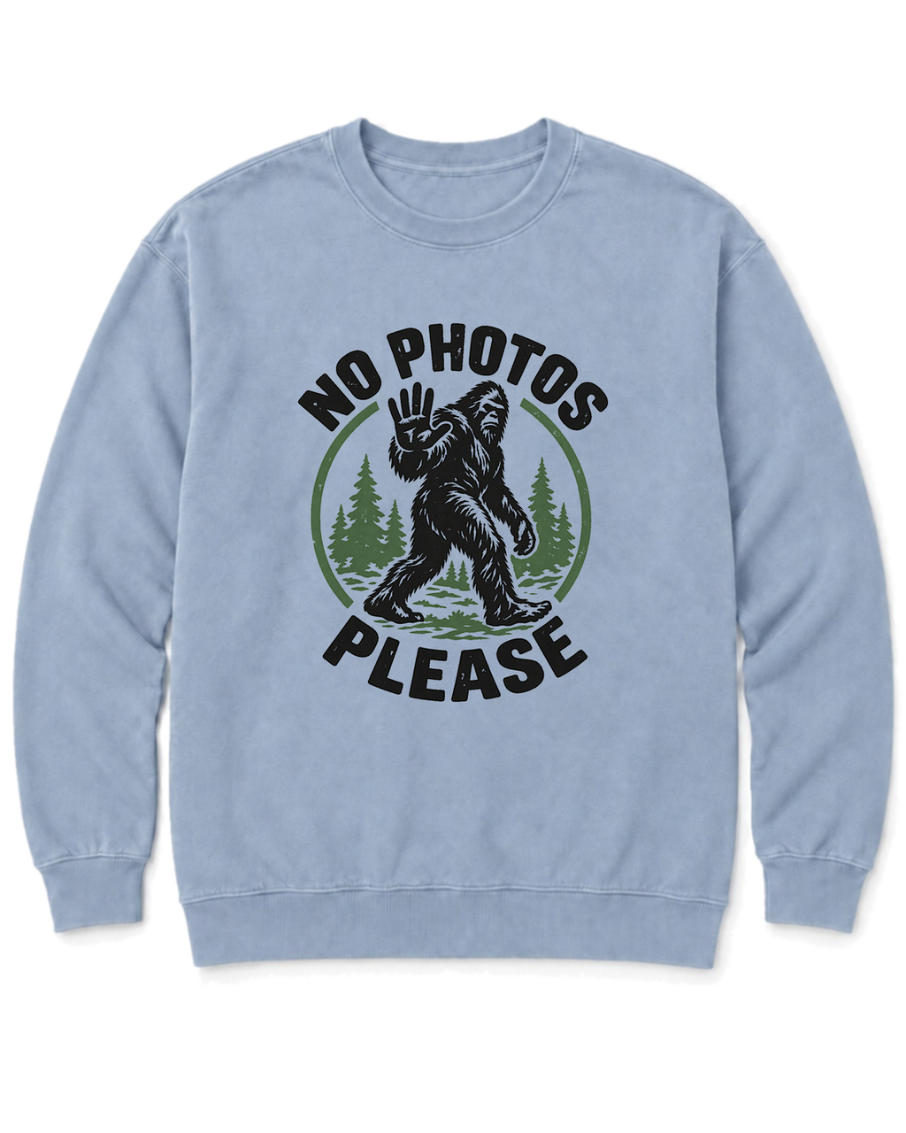 No Photos Please Sweatshirt - Chambray
