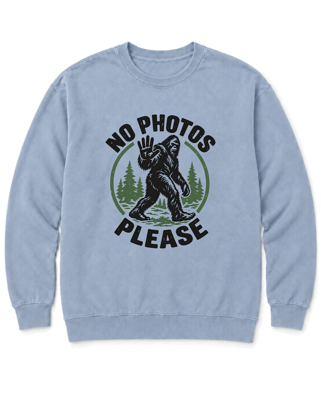No Photos Please Sweatshirt - Chambray