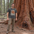 Man wearing the Giant Forest T-Shirt beside a giant sequoia